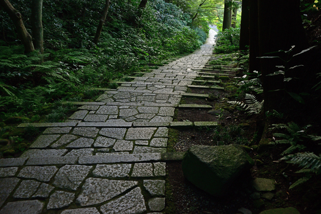 DSC_1903-2.jpg