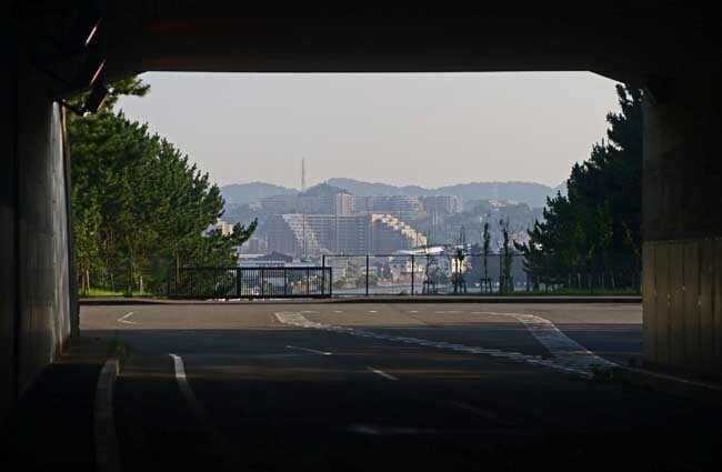 DSC_1905-2.jpg