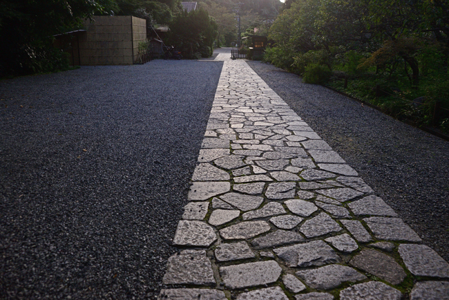 DSC_1906-2.jpg