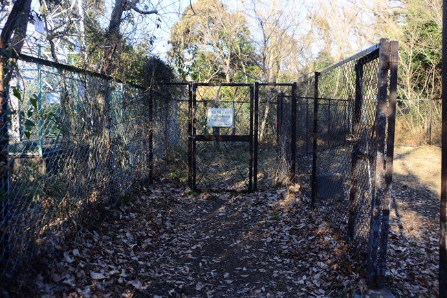 DSC_1918-2.jpg