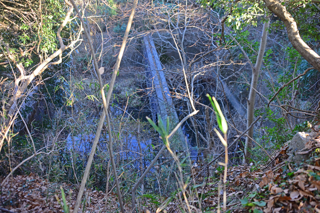 DSC_1927-2.jpg