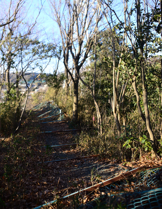 DSC_1940-2.jpg