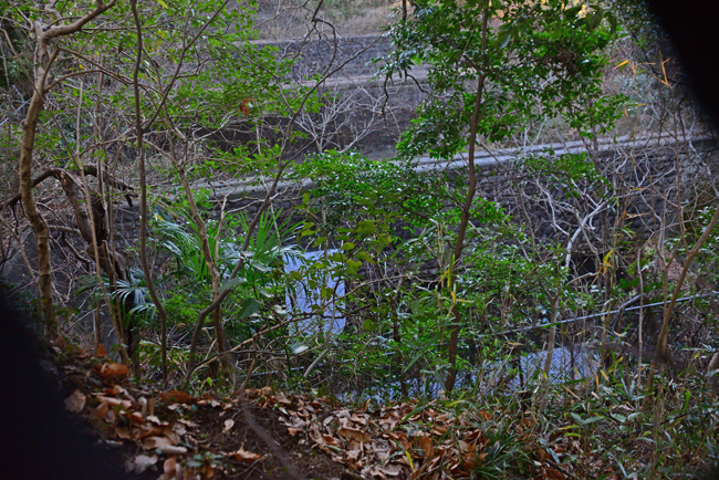 DSC_1964-2.jpg