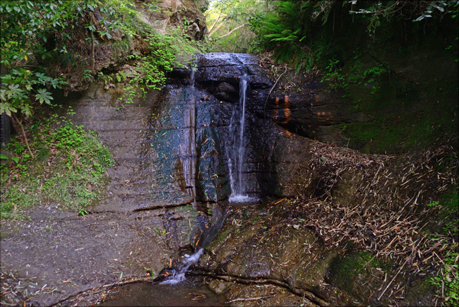 DSC_1969-2.jpg