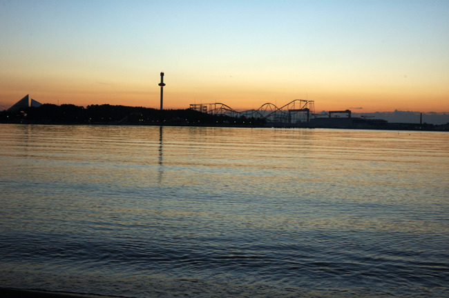 DSC_1972-2.jpg