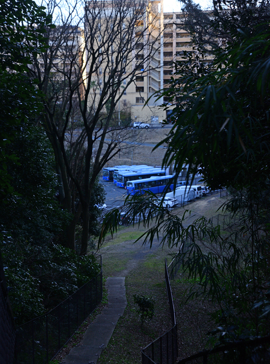 DSC_1977-2.jpg