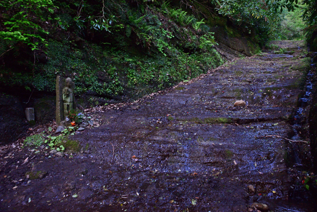 DSC_1983-2.jpg