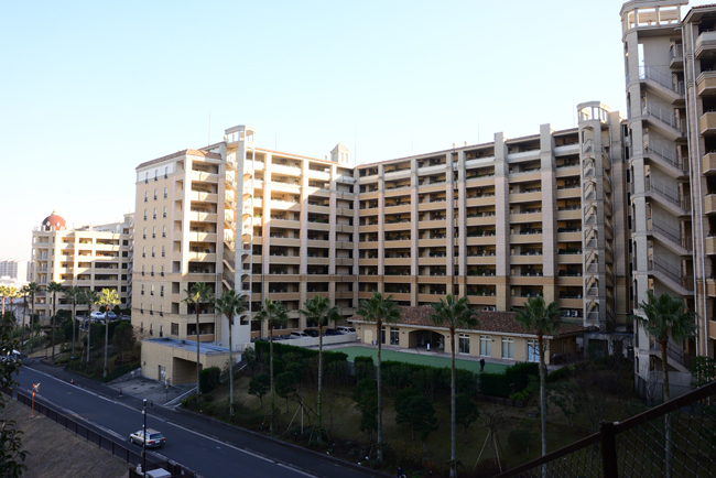 DSC_2020-2.jpg