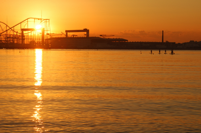 DSC_2031-2.jpg