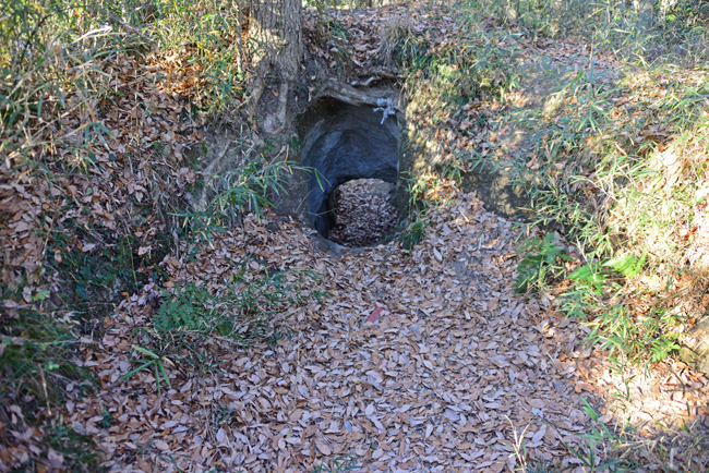 DSC_2032-2.jpg