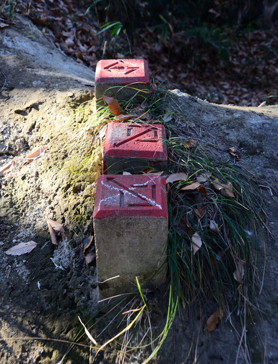 DSC_2034-2.jpg