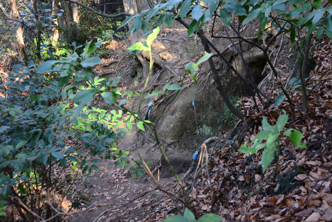 DSC_2043-2.jpg