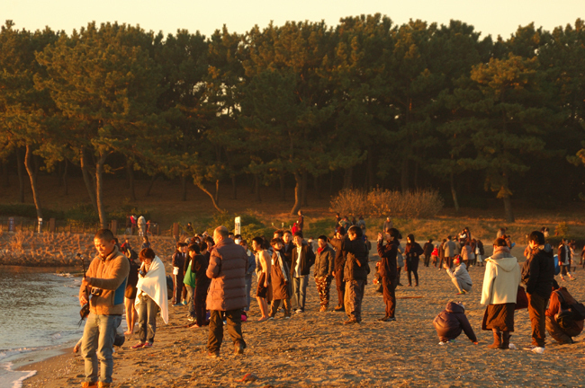 DSC_2051-2.jpg