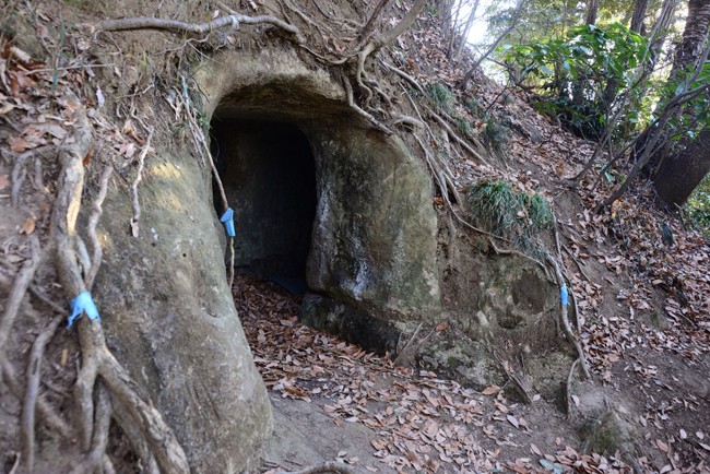 DSC_2052-2.jpg