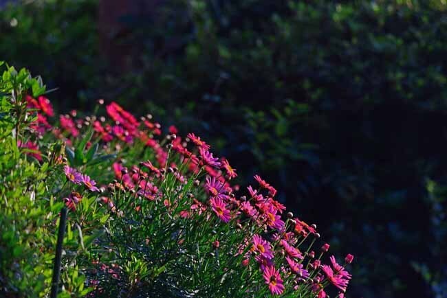 DSC_2062-2.jpg