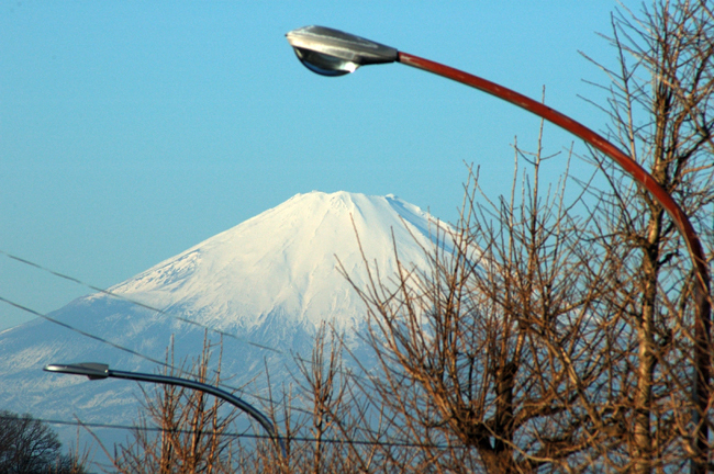 DSC_2084-2.jpg