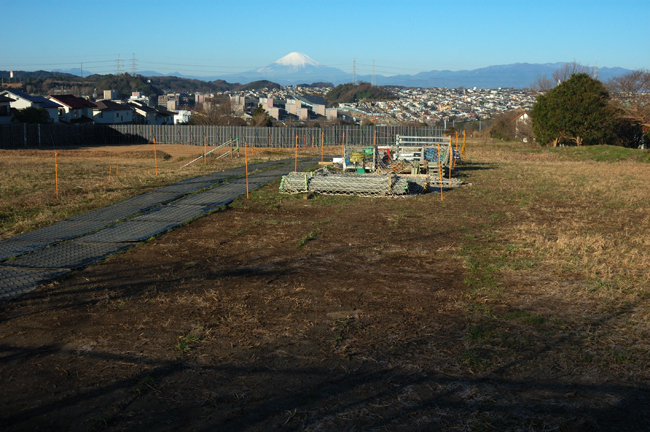 DSC_2140-2.jpg