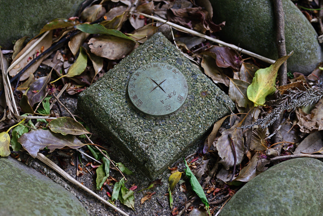 DSC_2155-2.jpg