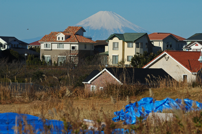 DSC_2177-2.jpg