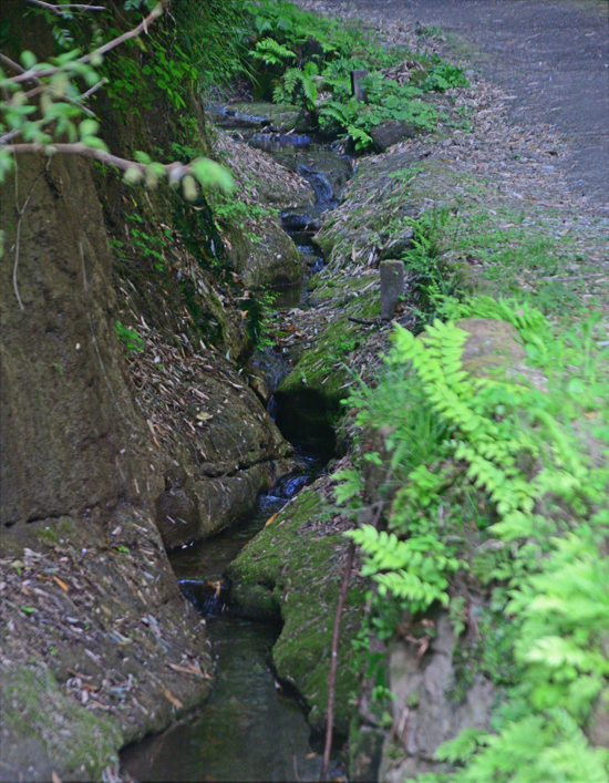 DSC_2184-2.jpg