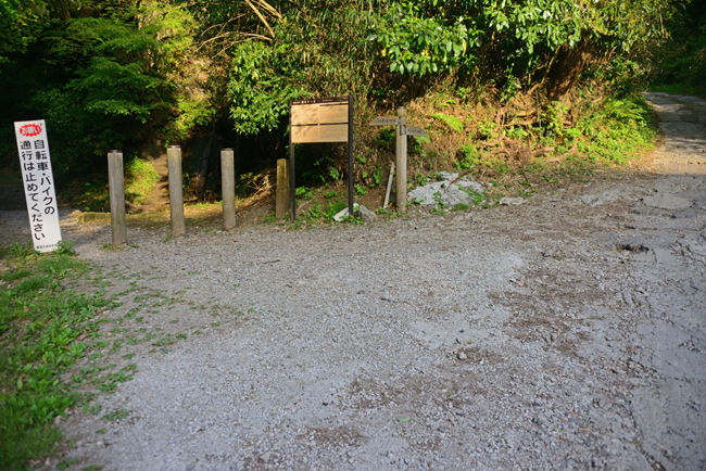 DSC_2185-2.jpg
