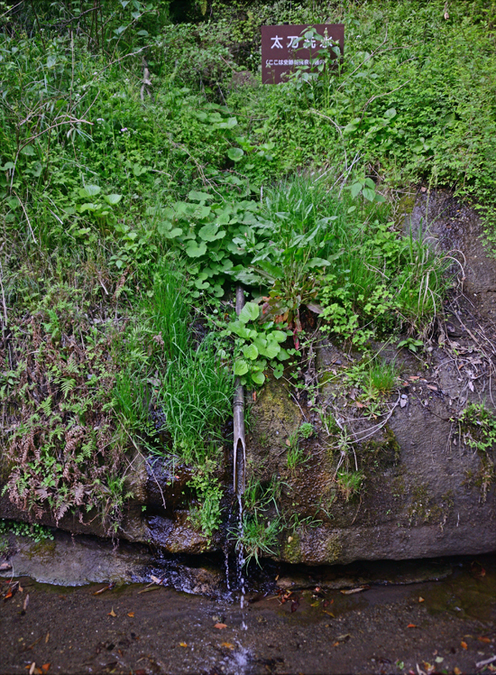 DSC_2188-2.jpg