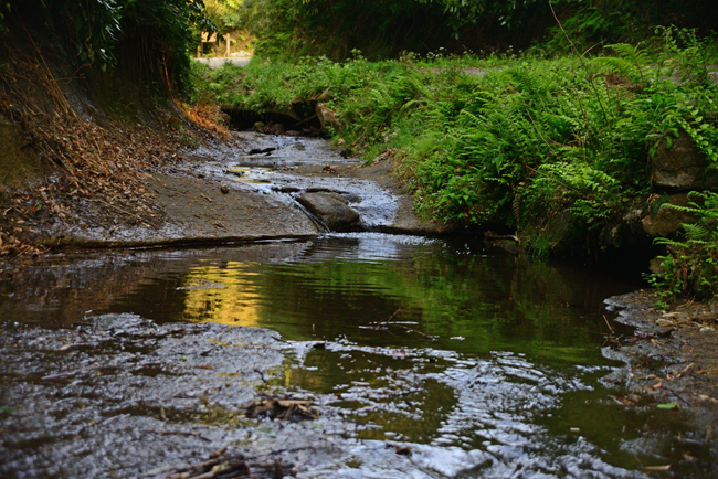 DSC_2192-2.jpg