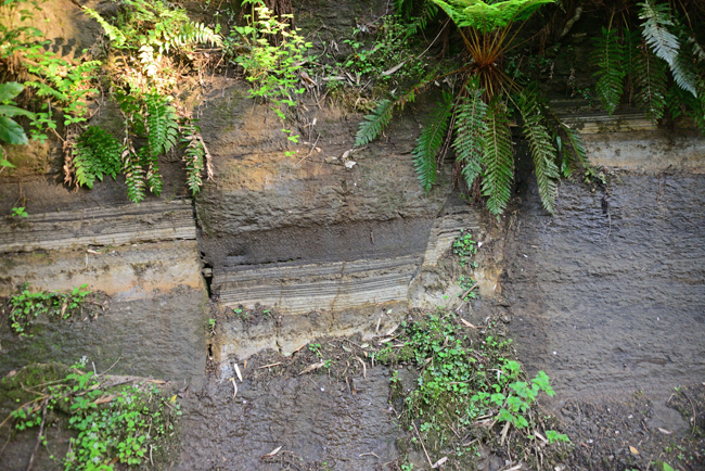 DSC_2196-2.jpg