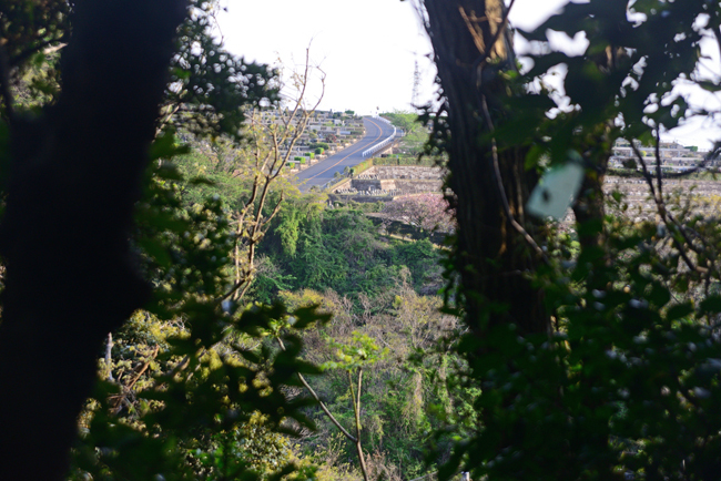 DSC_2202-2.jpg