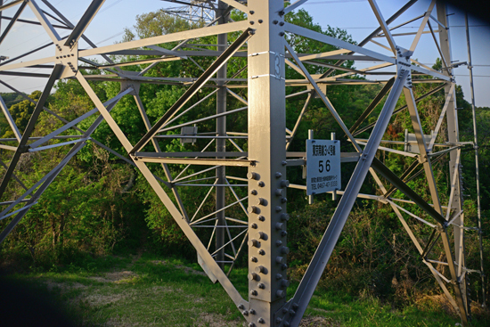 DSC_2204-2.jpg