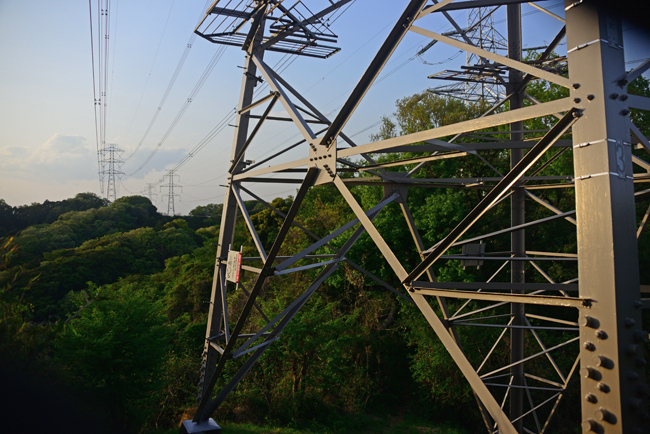 DSC_2207-2.jpg