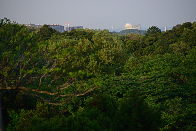 DSC_2211-2.jpg
