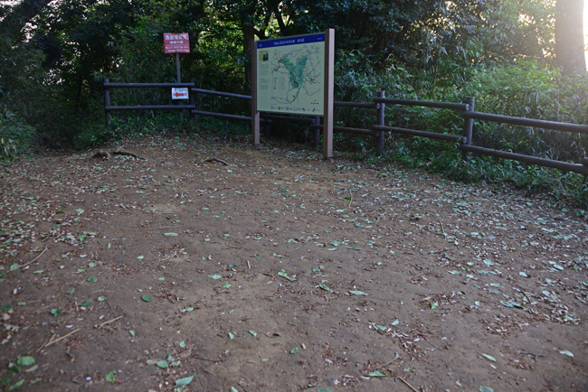 DSC_2221-2.jpg
