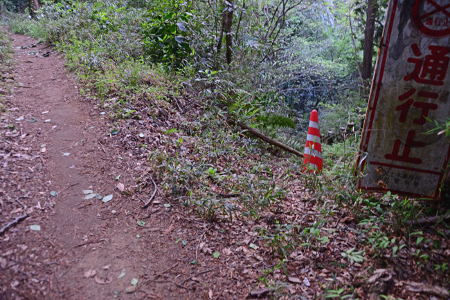 DSC_2222-2.jpg