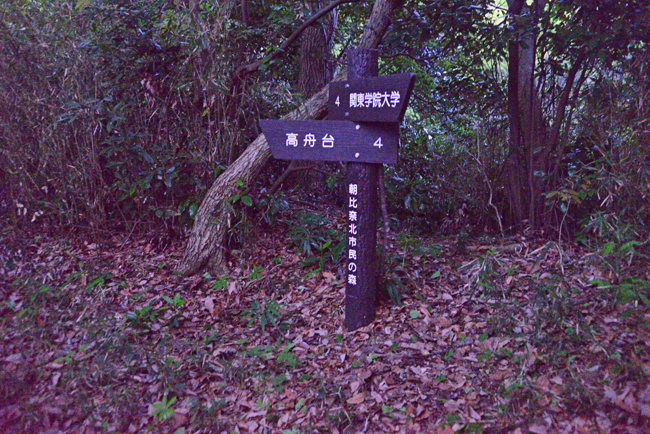 DSC_2233-2.jpg