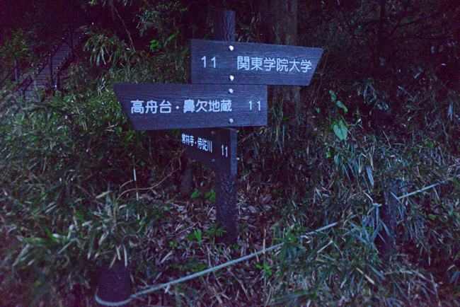DSC_2240-2.jpg
