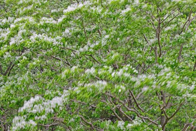 DSC_2273-2.jpg