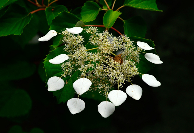 DSC_2280-2.jpg