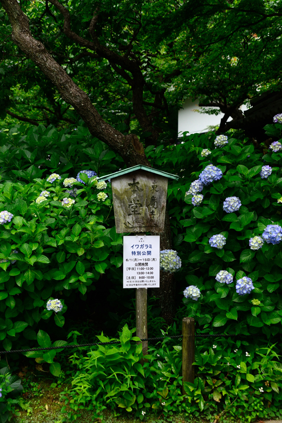 DSC_2281-2.jpg