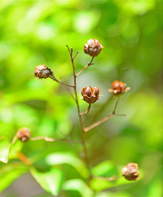 DSC_2307-2.jpg