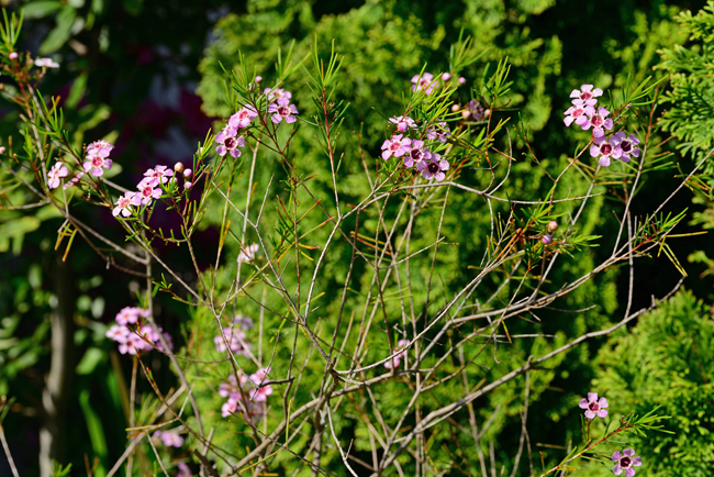 DSC_2328-2.jpg