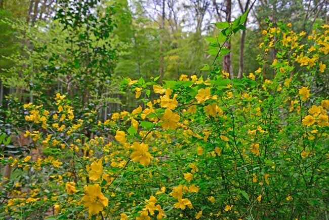DSC_2337-2.jpg