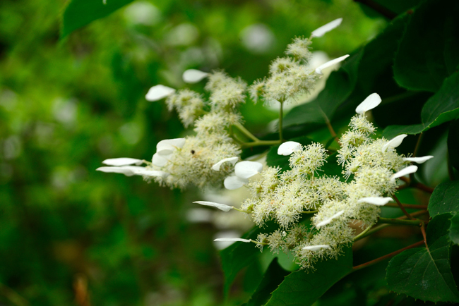 DSC_2356-2.jpg