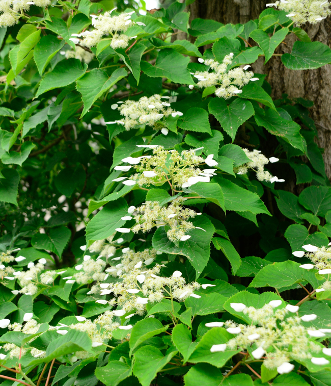 DSC_2369-2.jpg