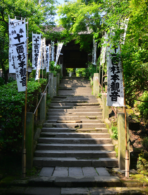DSC_2410-4.jpg