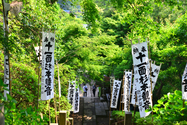 DSC_2428-2.jpg