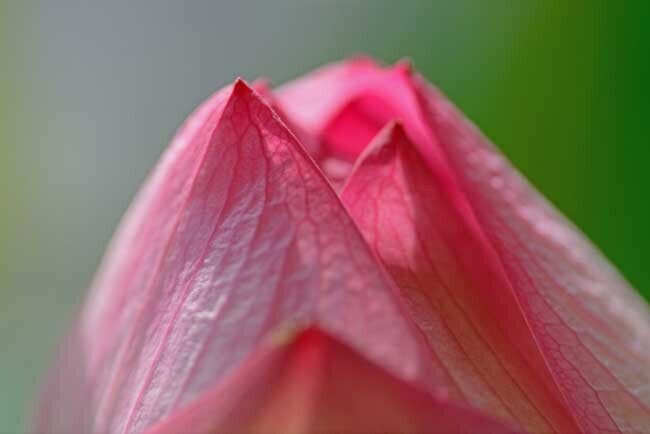 DSC_2704-2.jpg