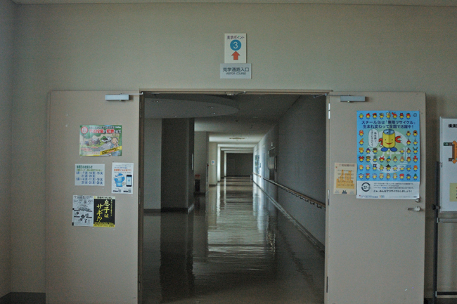 DSC_2707-2.jpg