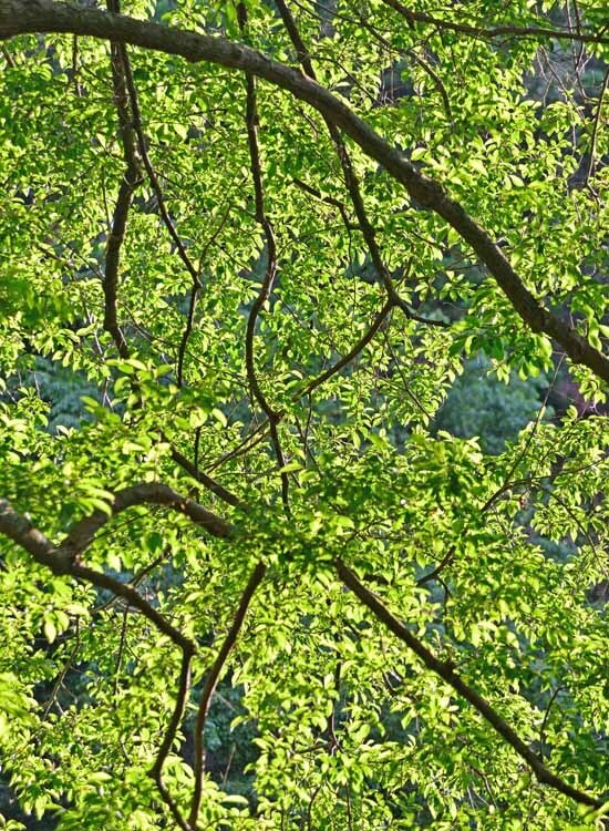DSC_2760-2.jpg