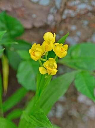 DSC_2905-2.jpg
